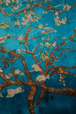 Cheap Amici Jade Schal In Blaugrun