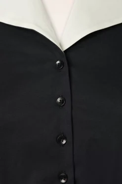 Online Collectif Clothing Taylor Swing Kleid In Schwarz